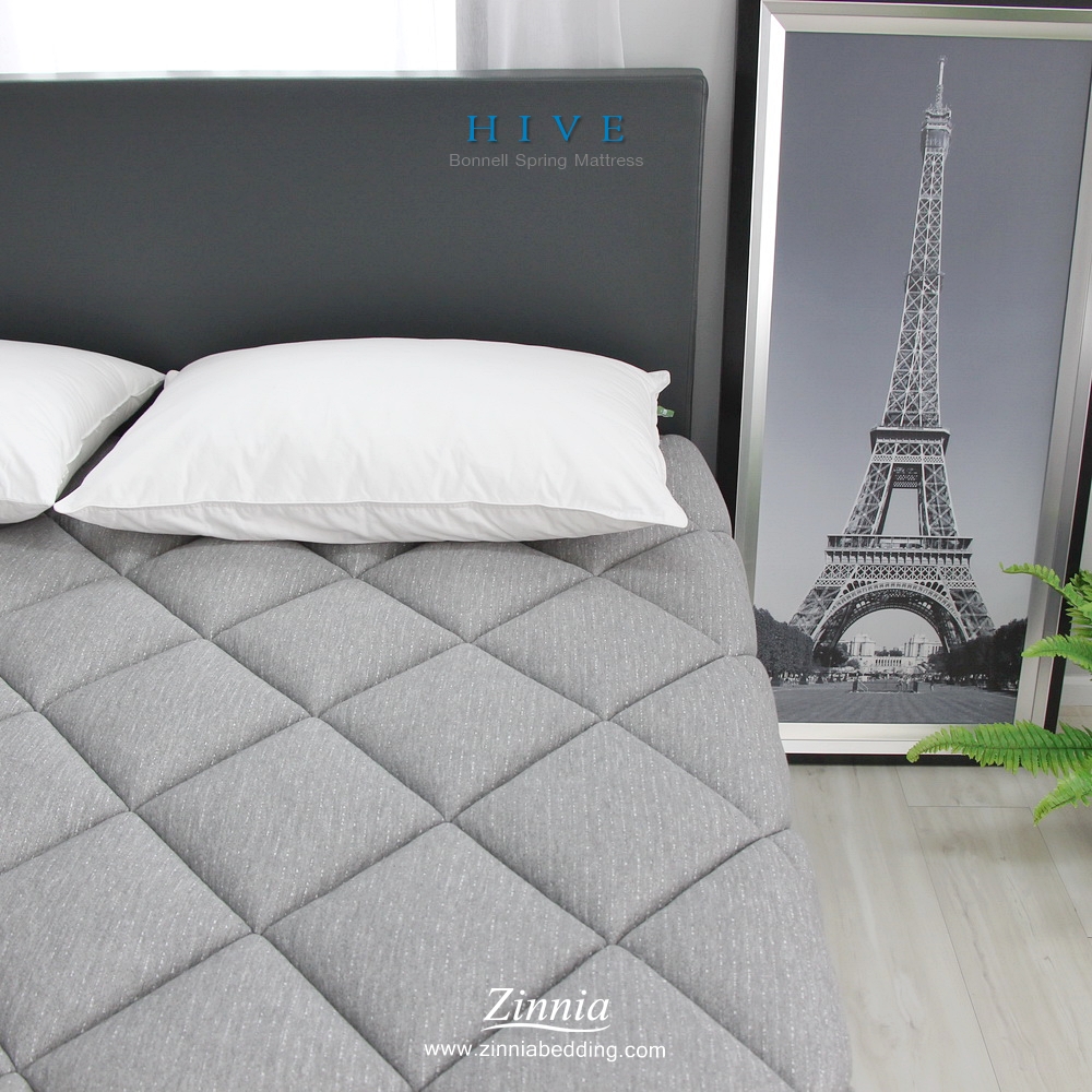 ที่นอน รุ่นHIVE