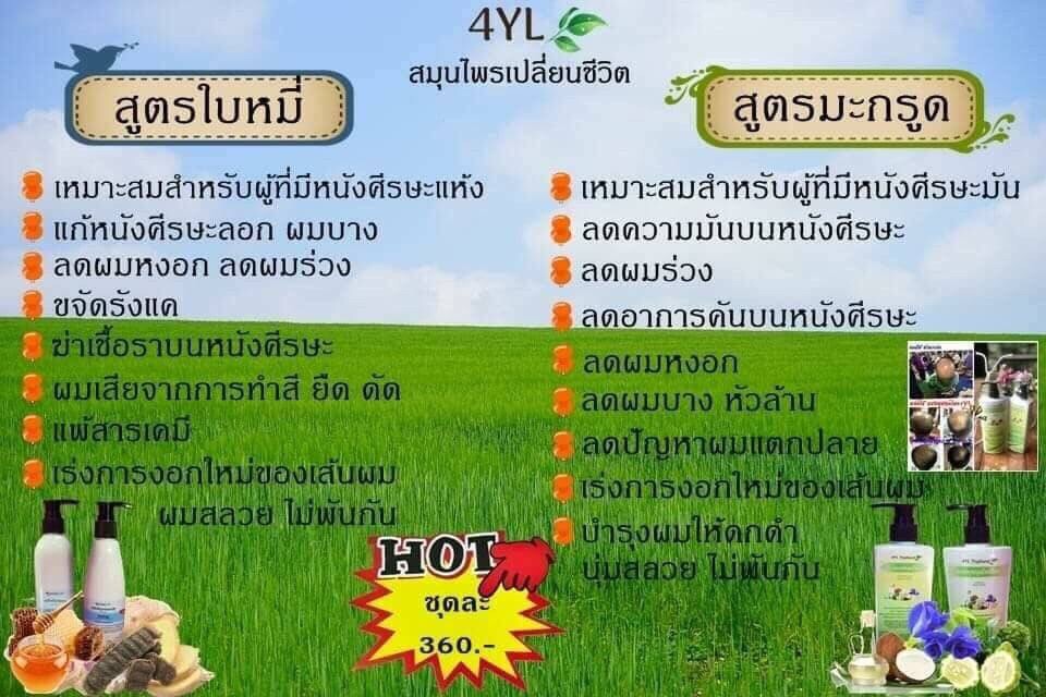 แชมพูสมุนไพรต้มสดเตาถ่าน สูตรใบหมี่ สำหรับ หนังศรีษะแห้ง