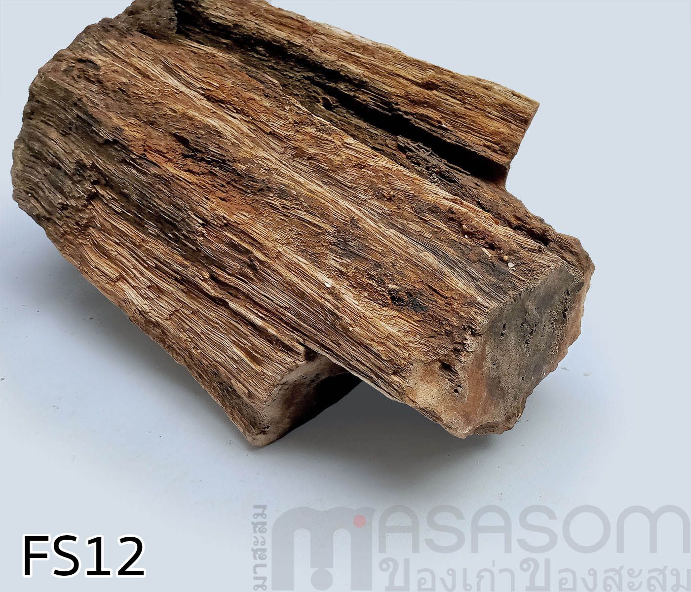 ฟอสซิลไม้กลายเป็นหิน(Petrified Wood)