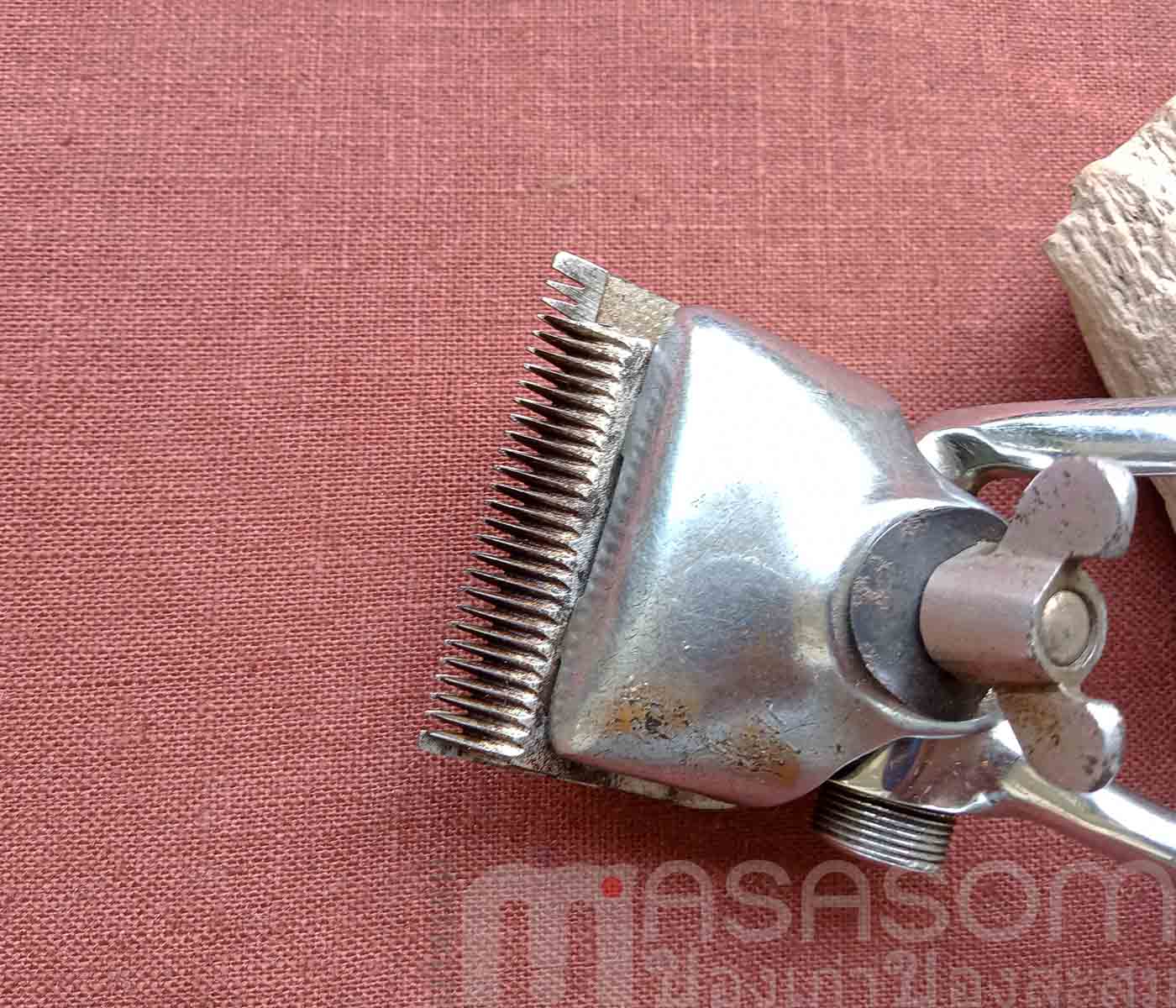 ปัตตาเลี่ยนมือเก่า