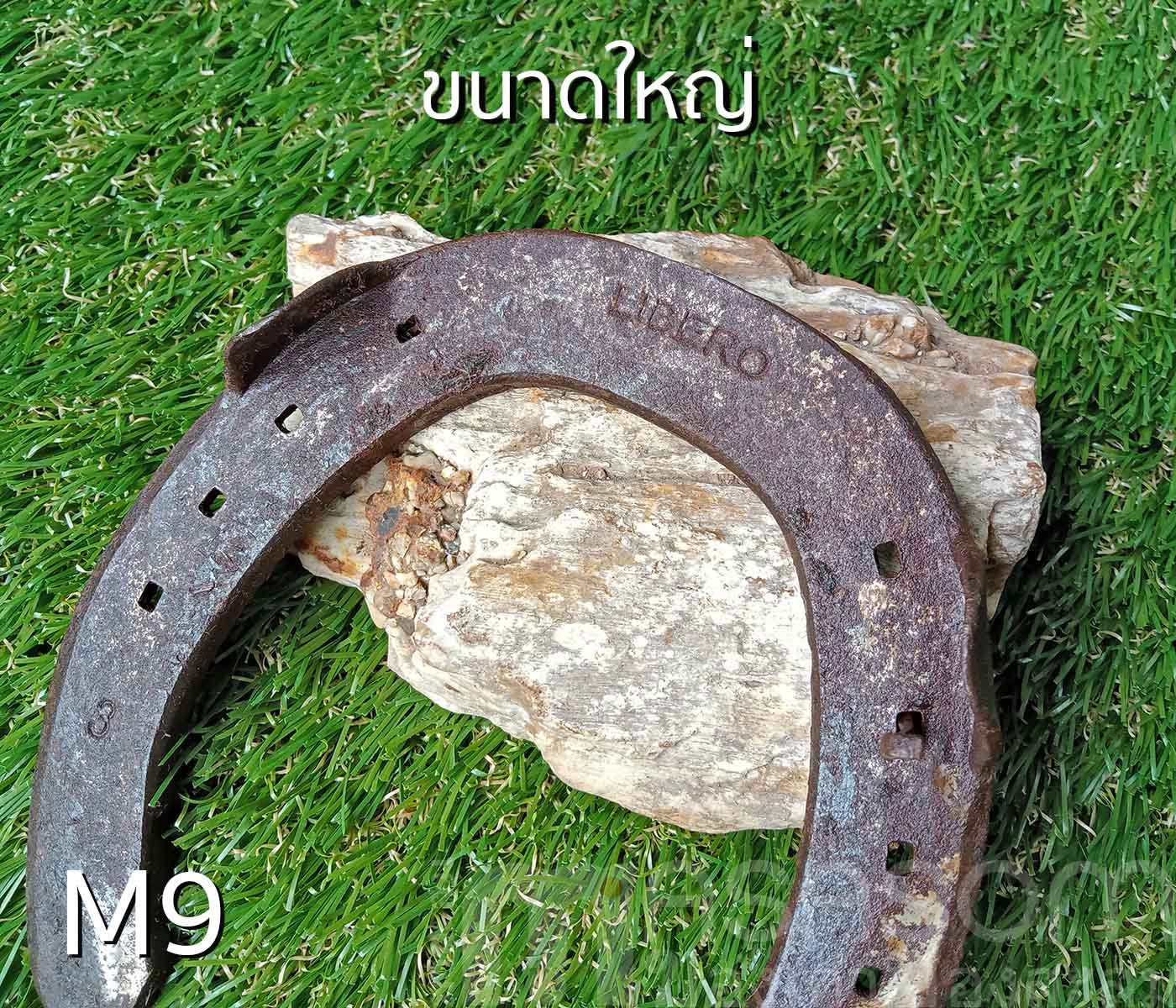 เกือกม้าเก่า วัตถุมงคลนำโชค