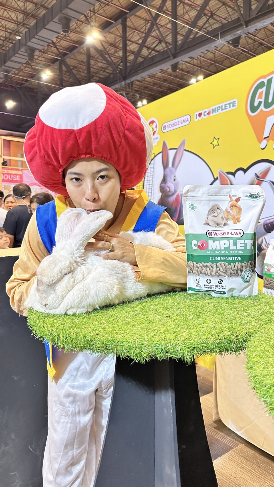 ชุดเห็ดคิโนพิโอ้ @ super mario