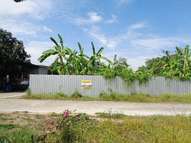 H1146 ขายด่วน ที่ดิน 198.7 ตารางวา อยู่หมู่บ้านสุขหทัย ซอยหทัยราษฎร์37 แขวงสามวาตะวันตก เขตคลองสามวา โฉนดเป็น 2แปลง แบ่งขายได้