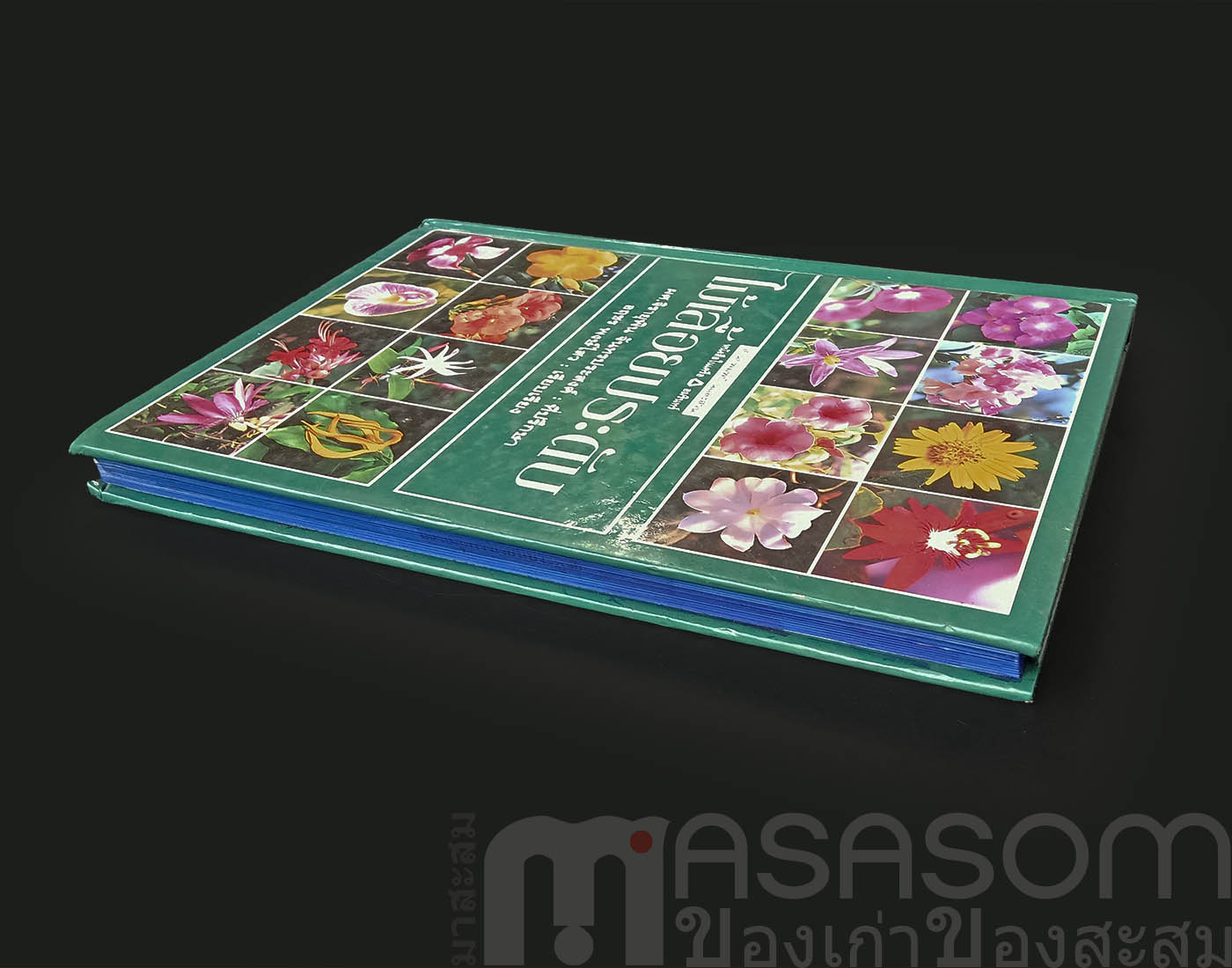 หนังสือไม้เลื้อยประดับ