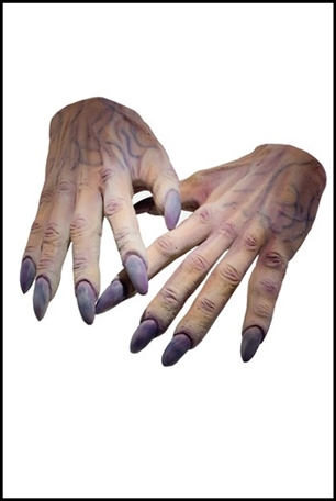 ชุดพ่อมด Voldemort @ Harry Potter