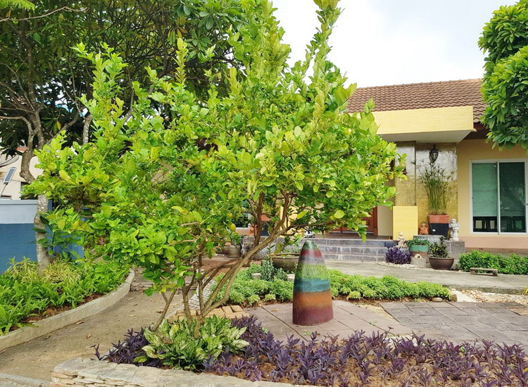 H1186 ขายบ้านเดี่ยวชั้นเดียว 281 ตารางวา อยู่ในตัวเมืองราชบุรี ตกแต่งหรู สภาพพร้อมอยู่