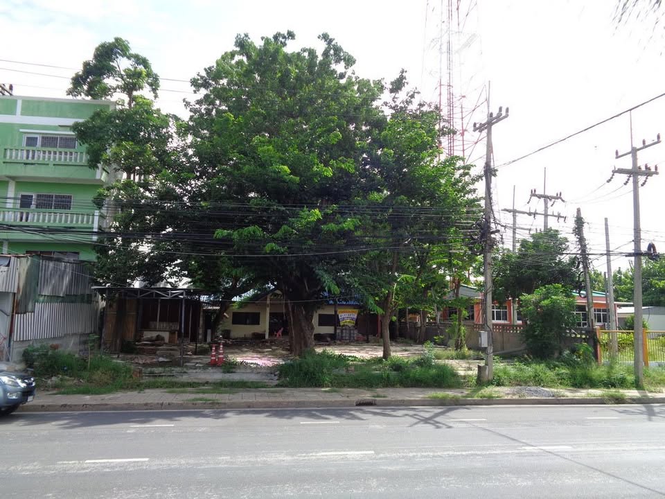 🚩H1273 ขายที่ดินทำเลดี ย่านธุรกิจ 4 -1 -68 ไร่ ติดถนนท่ามะนาว ใกล้ที่ว่าการอำเภอชัยบาดาล จังหวัดลพบุรี