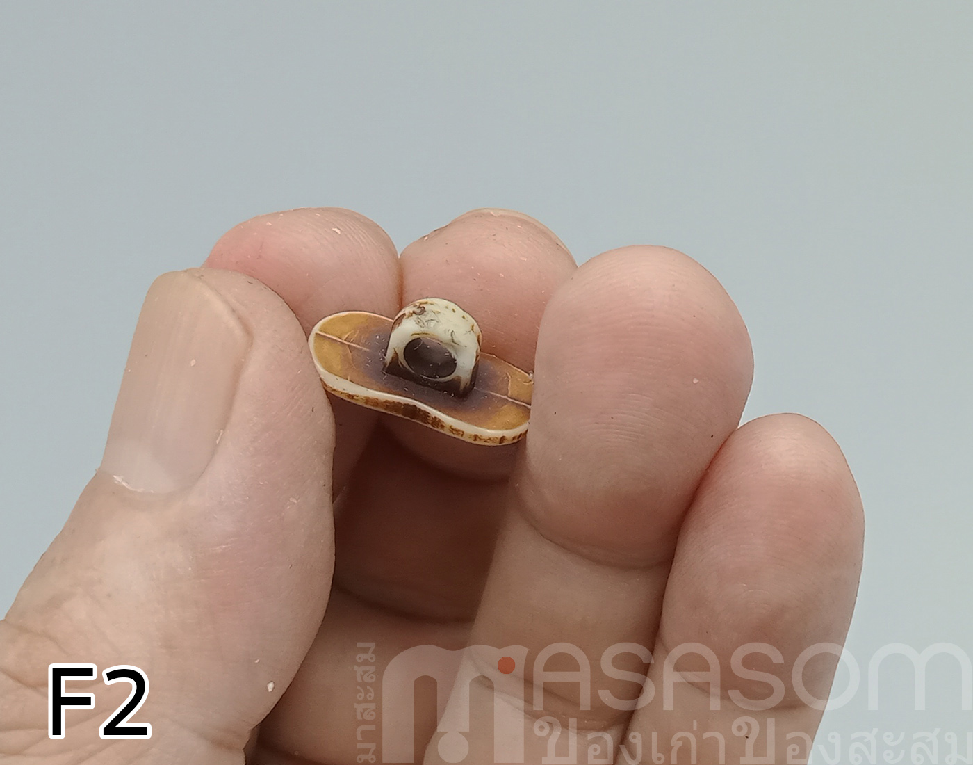 กระดุมแฟชั่นของสะสม