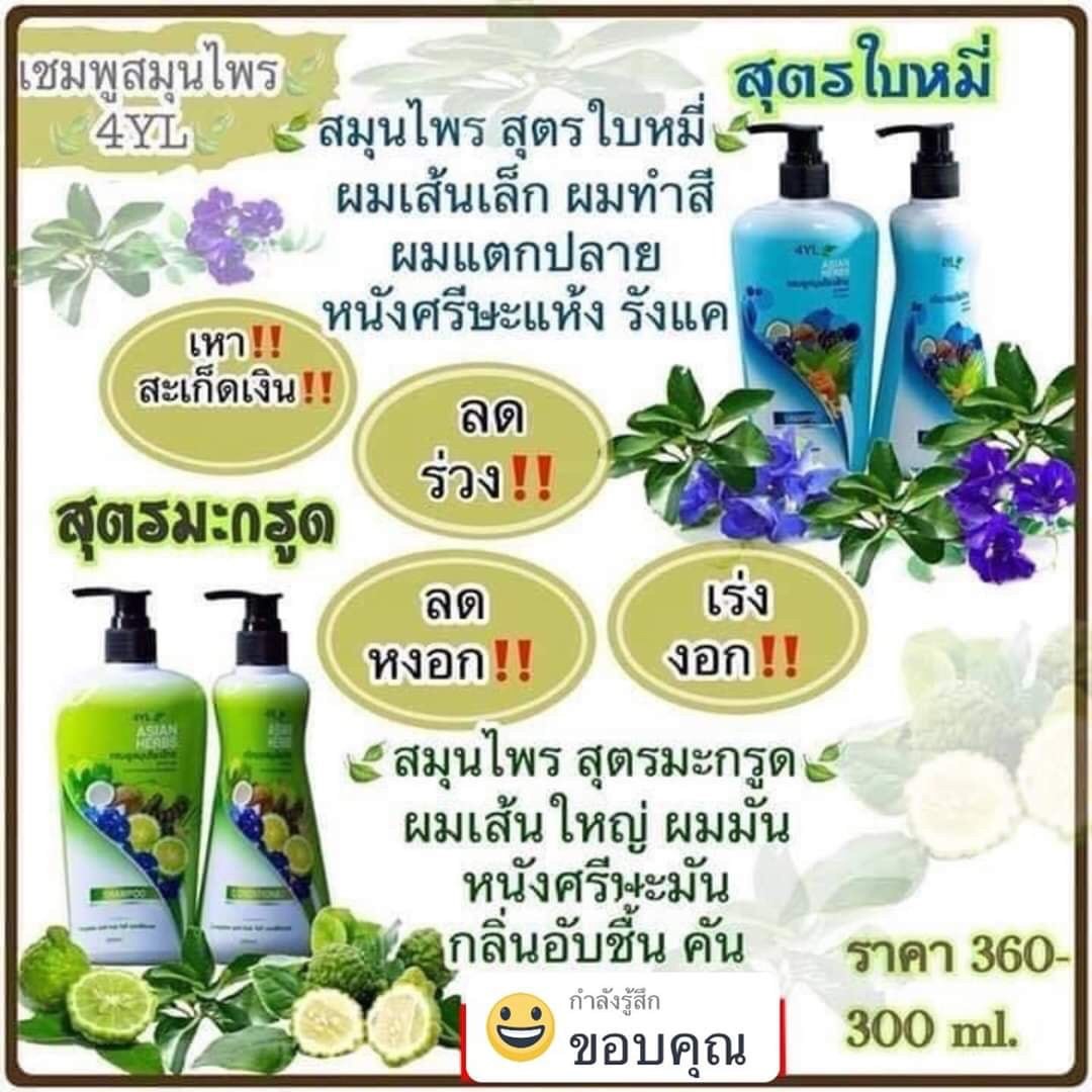 แชมพูสมุนไพรต้มสดเตาถ่าน สูตรใบหมี่ สำหรับ หนังศรีษะแห้ง