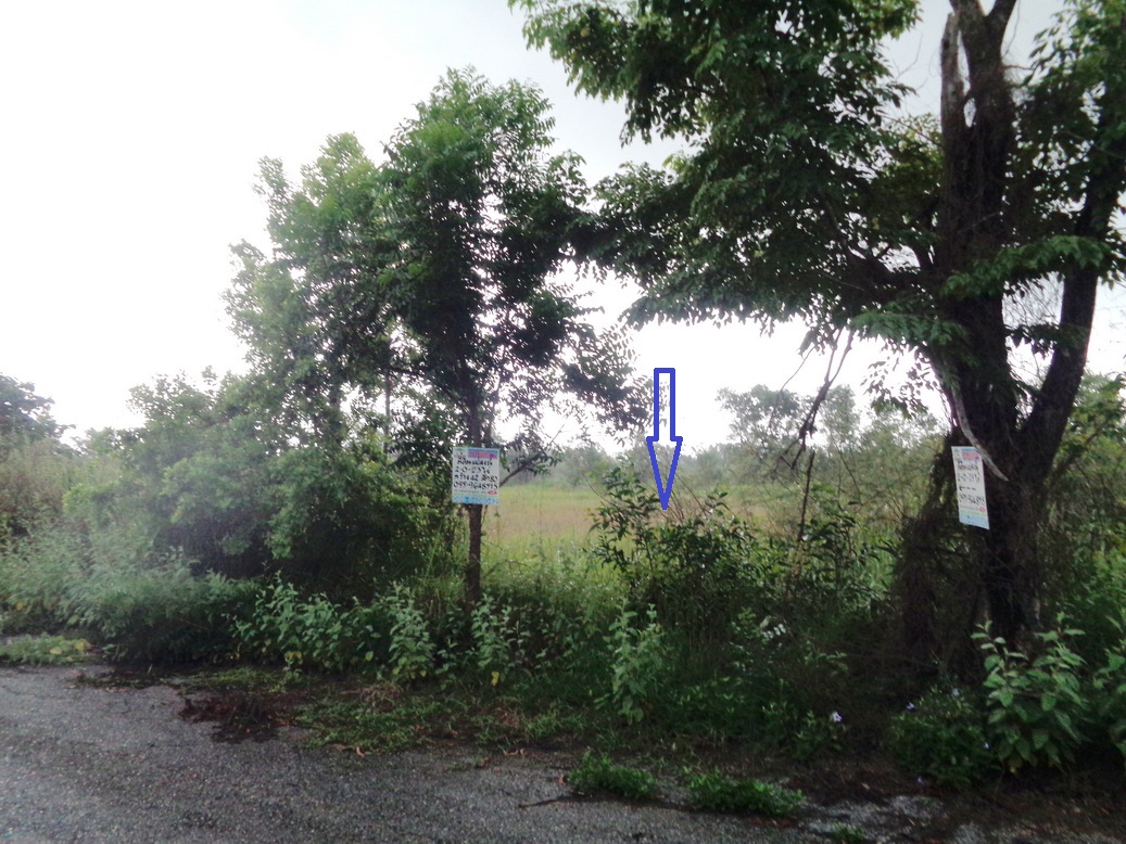 🚩 H1270 ขายที่ดินจัดสรร 2 ไร่ 23 ตารางวา องครักษ์ คลอง30 ใกล้ ม.ศรีนครินทรวิโรฒองครักษ์