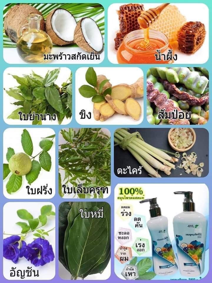 แชมพูสมุนไพรต้มสดเตาถ่าน สูตรใบหมี่ สำหรับ หนังศรีษะแห้ง