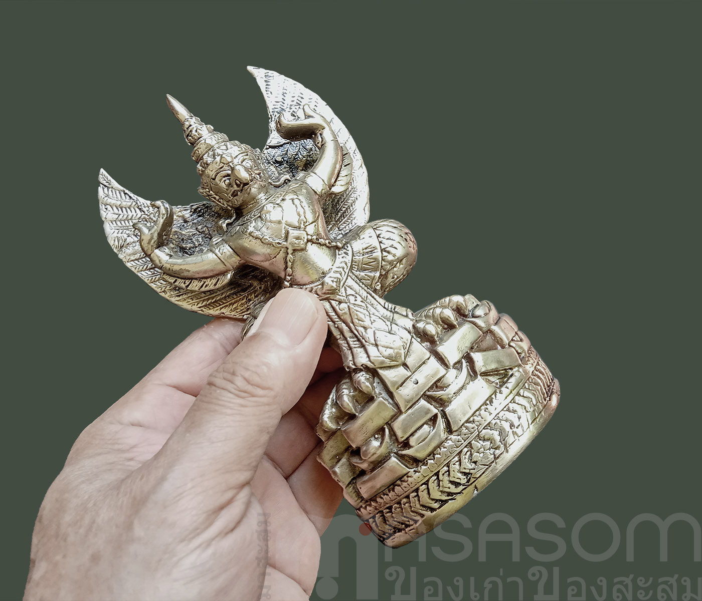 พญาครุฑเนื้อกะไหล่เงิน