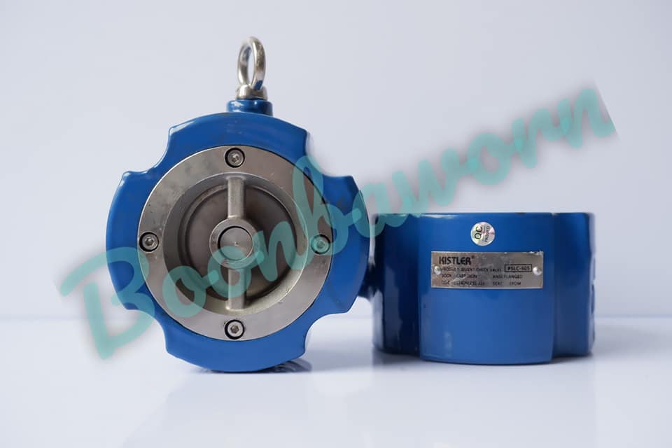 Silent Check Valve