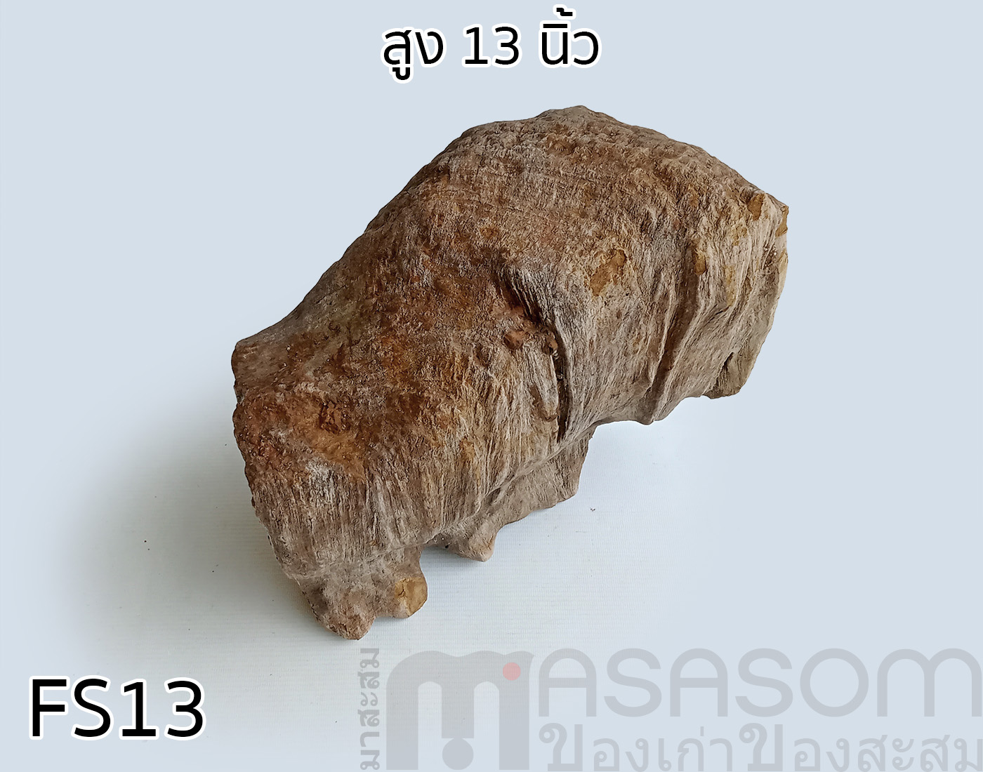 ฟอสซิลไม้กลายเป็นหิน (Petrified Wood)