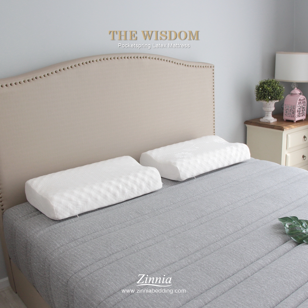 ที่นอนพ๊อกเก็ตยางพารา รุ่นTHE WISDOM แถมฟรีหมอนหนุนยางพาราแท้