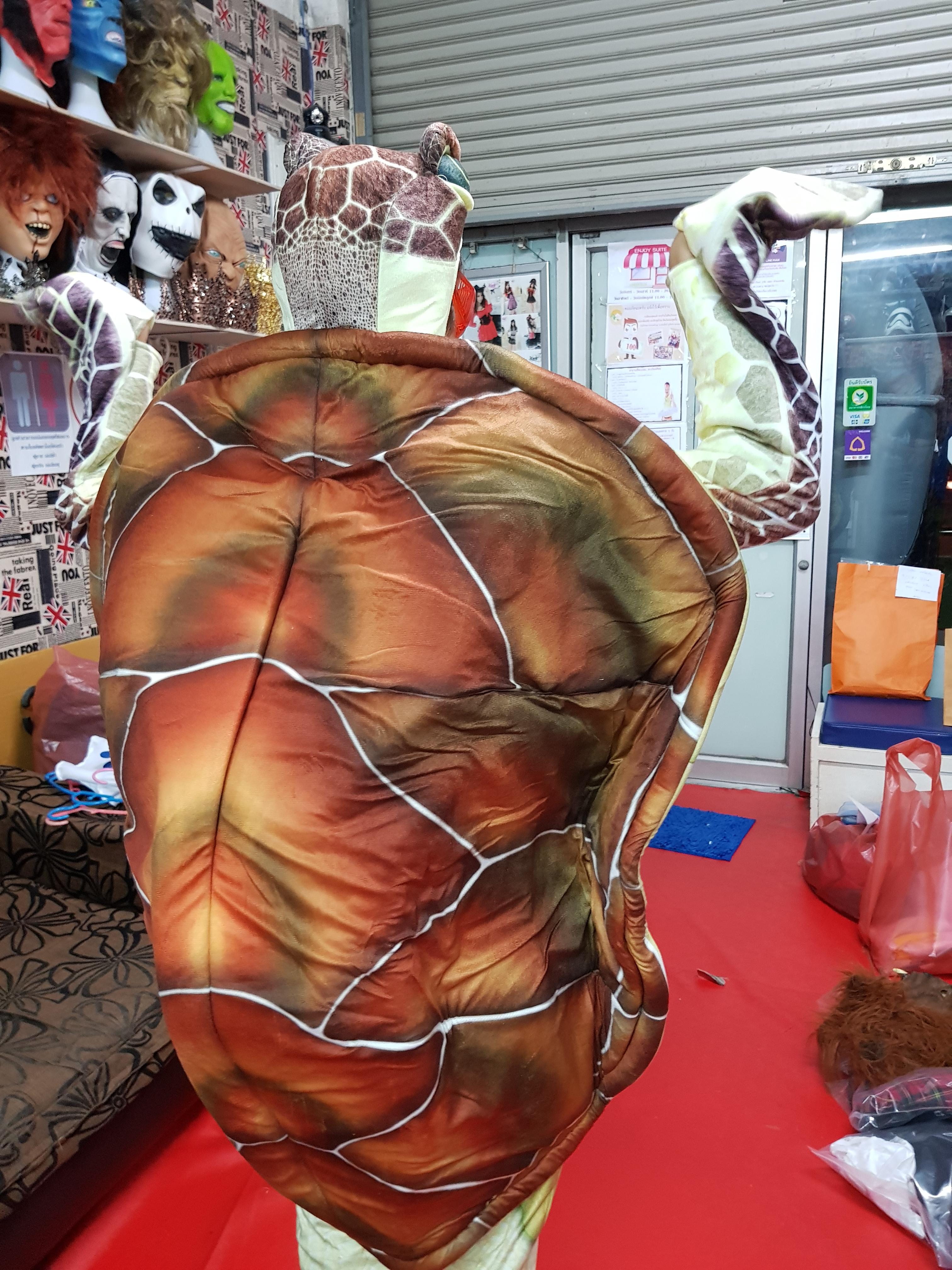 ชุดเต่าตนุ