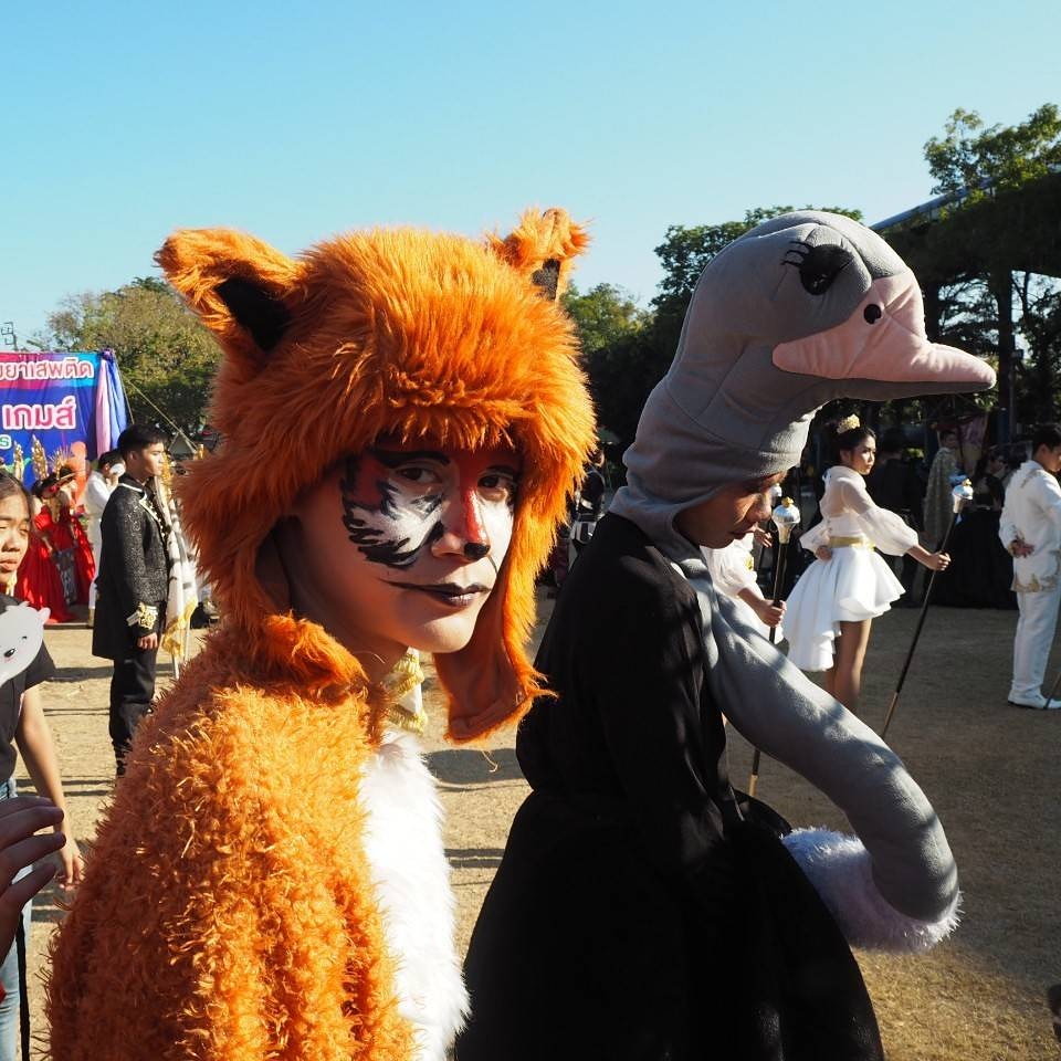 ชุดสิงโต