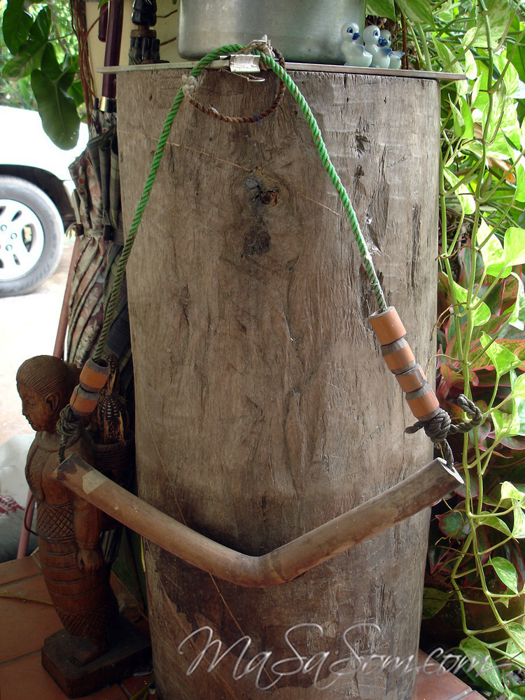 ทามผูกคอวัว