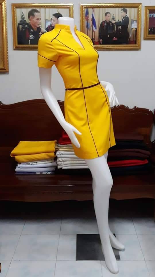 ชุดแอร์โฮสเตรส / ชุดอาชีพในฝัน