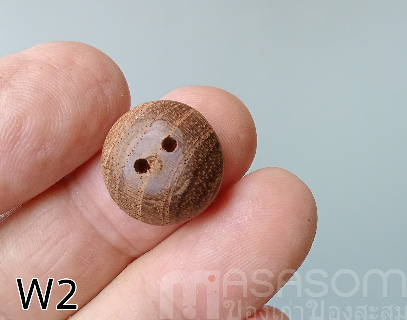 กระดุมไม้สัก