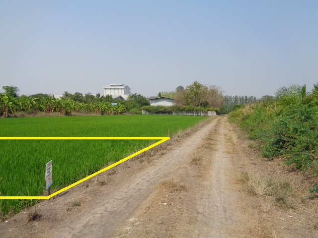 H1188 ขายที่ดิน 99 ตารางวา ใกล้วิทยาลัยเทคนิคนนทบุรี ถนนทางหลวงชนบท สาย3022 ตำบลราษฎร์นิยม อำเภอไทรน้อย นนทบุรี