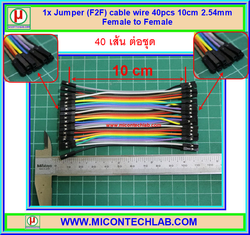 1x จั๊มเปอร์ปลายเมียเมีย (F2F) 40 เส้น 10 ซม. (Jumper)