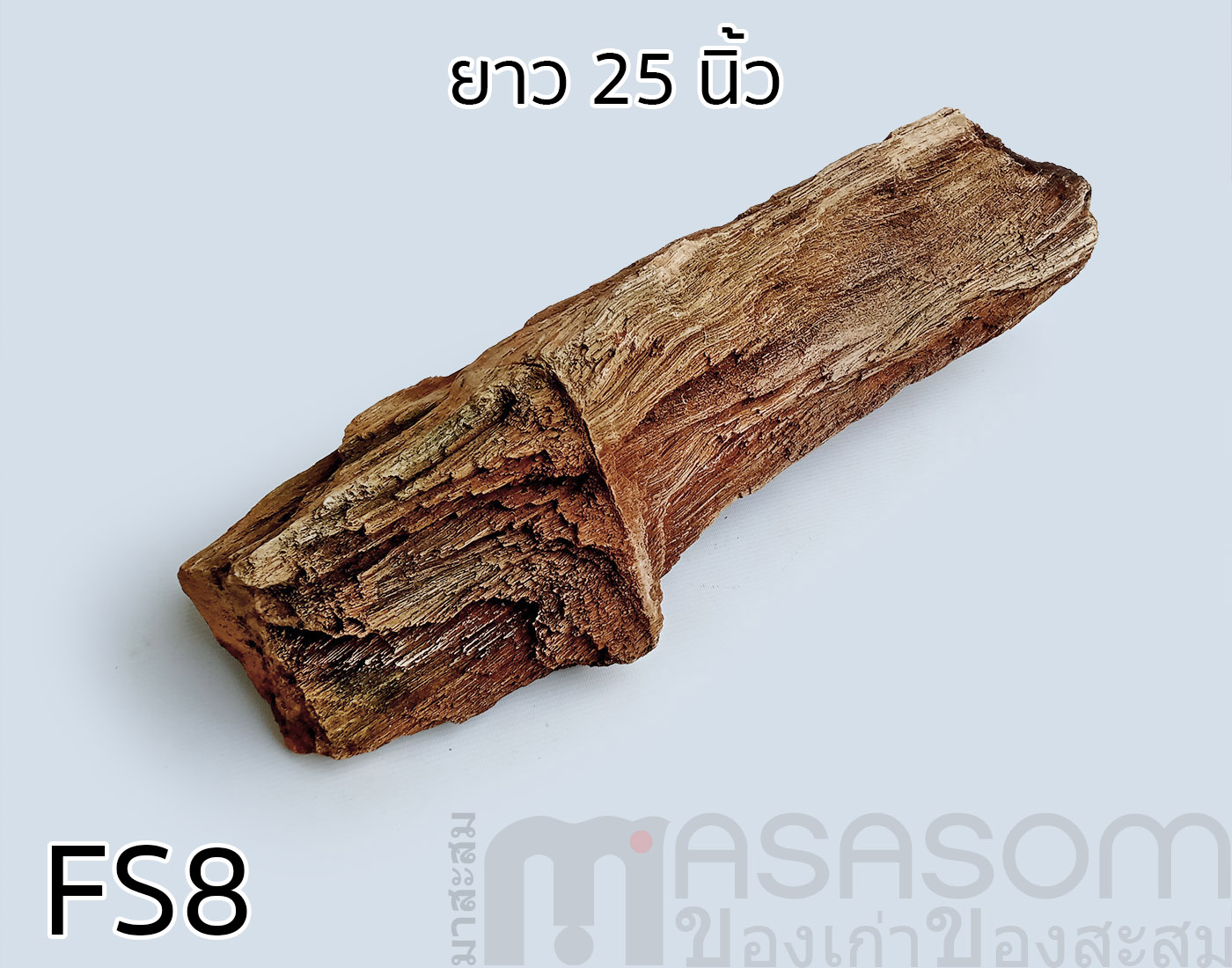 ฟอสซิลไม้กลายเป็นหิน(Petrified Wood)