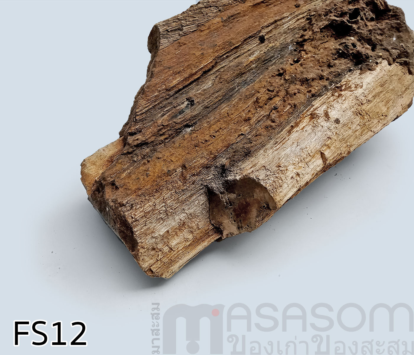 ฟอสซิลไม้กลายเป็นหิน(Petrified Wood)