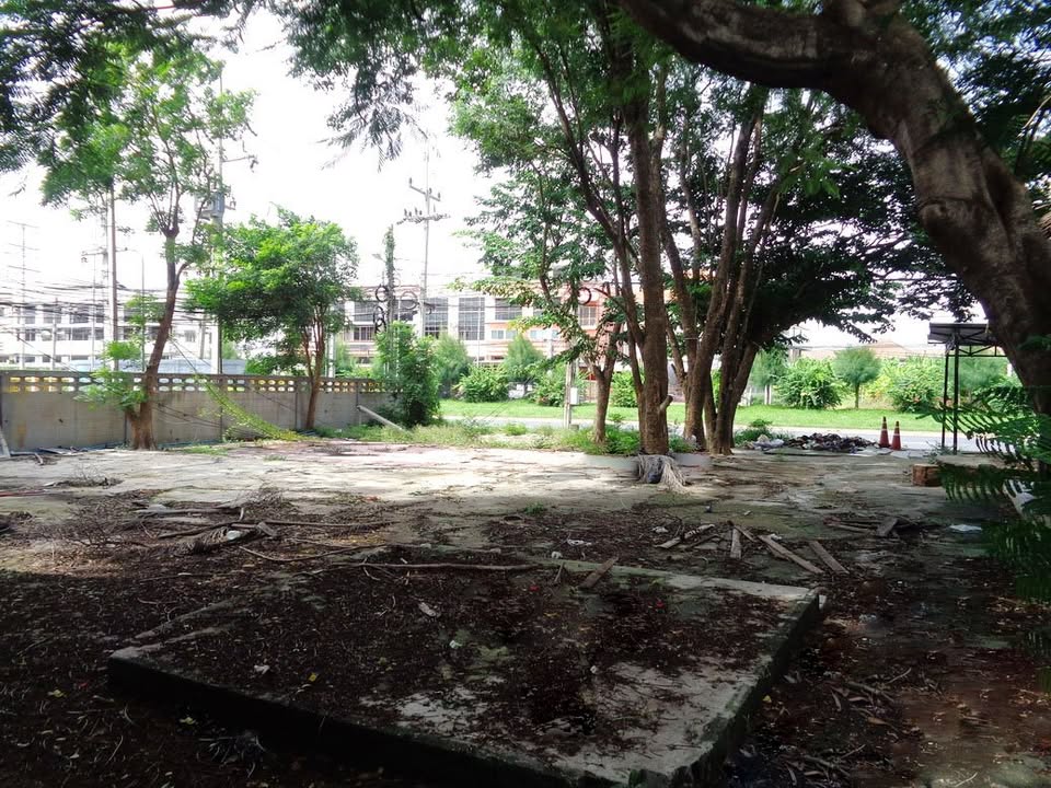 🚩H1273 ขายที่ดินทำเลดี ย่านธุรกิจ 4 -1 -68 ไร่ ติดถนนท่ามะนาว ใกล้ที่ว่าการอำเภอชัยบาดาล จังหวัดลพบุรี