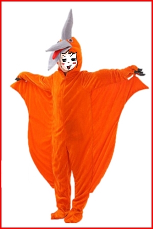 ชุดไดโนเสาร์ผู้ใหญ่ แบบต่าง ๆ