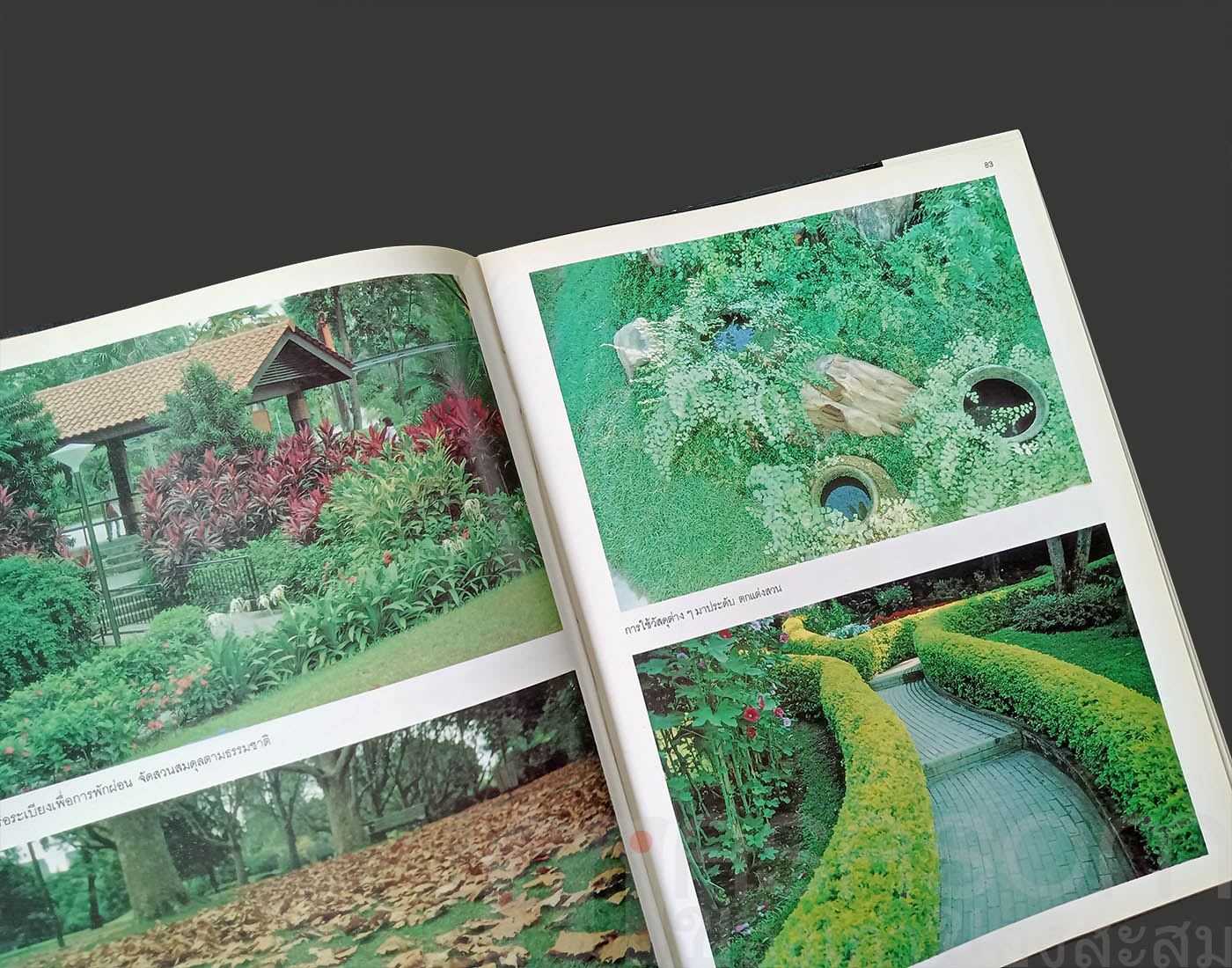 หนังสือการจัดสวน