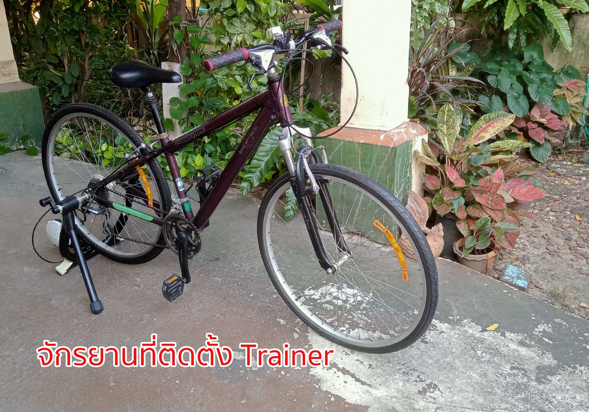 เทรนเนอร์ปั่นจักรยาน