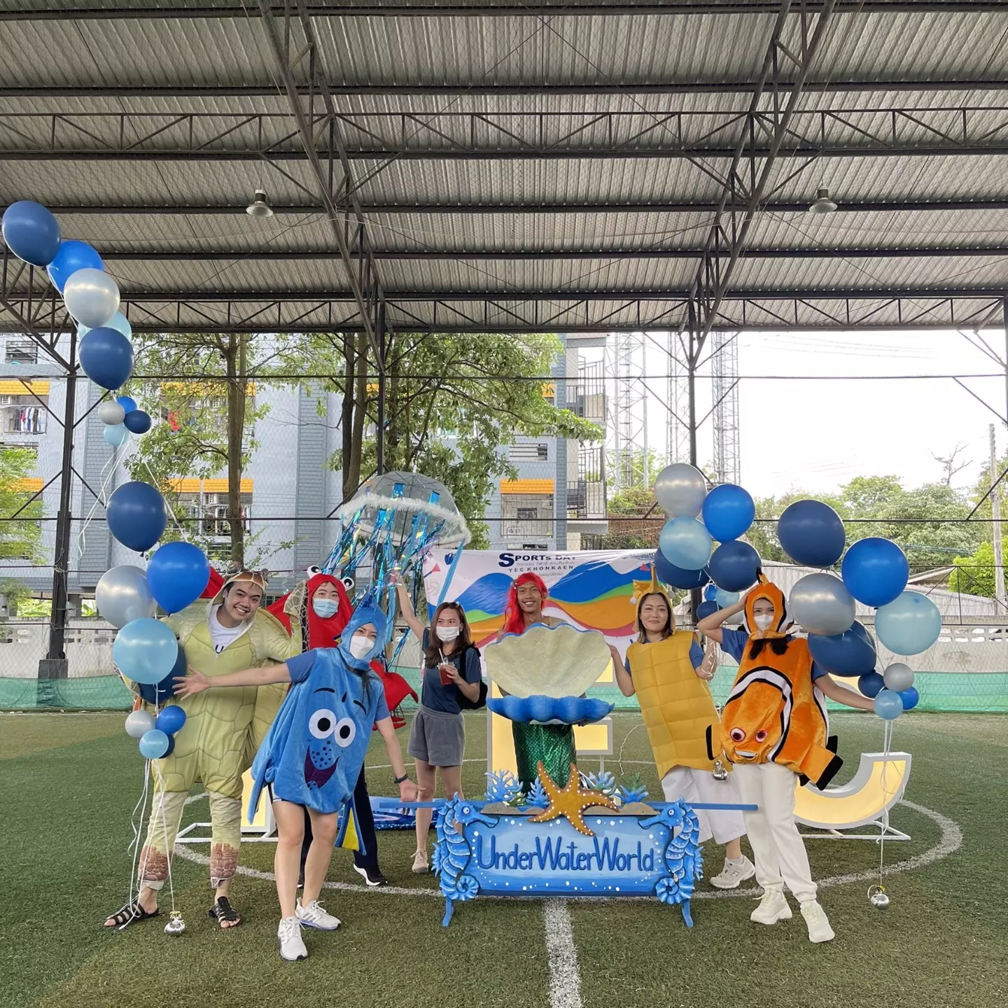 ชุดเต่าตนุ