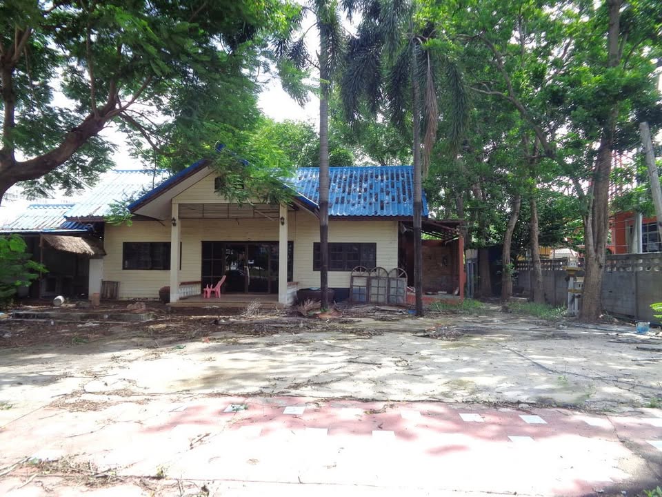 🚩H1273 ขายที่ดินทำเลดี ย่านธุรกิจ 4 -1 -68 ไร่ ติดถนนท่ามะนาว ใกล้ที่ว่าการอำเภอชัยบาดาล จังหวัดลพบุรี