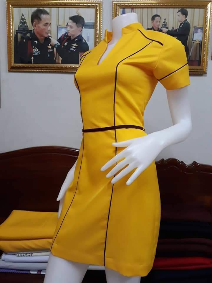 ชุดแอร์โฮสเตรส / ชุดอาชีพในฝัน