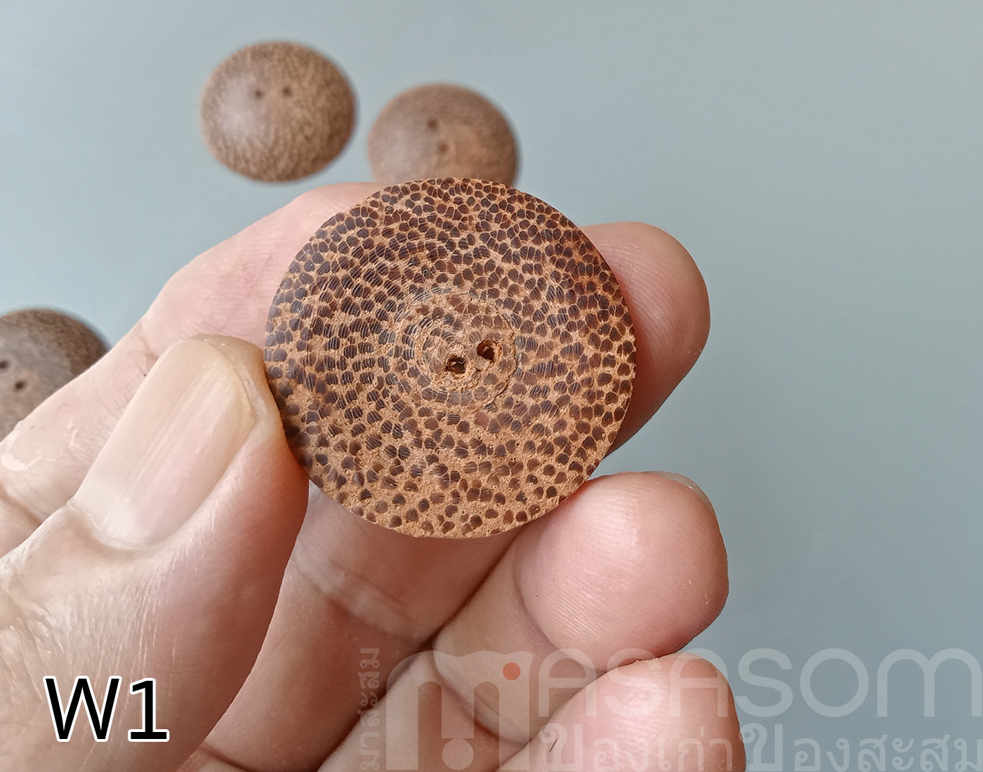 กระดุมไม้