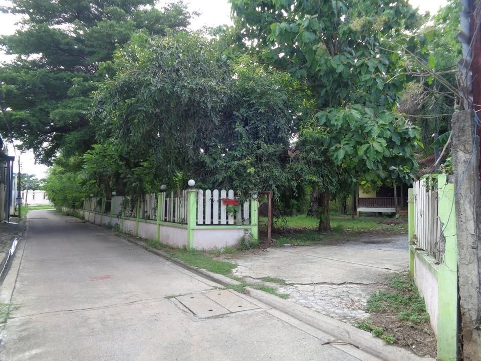 🚩H1273 ขายที่ดินทำเลดี ย่านธุรกิจ 4 -1 -68 ไร่ ติดถนนท่ามะนาว ใกล้ที่ว่าการอำเภอชัยบาดาล จังหวัดลพบุรี