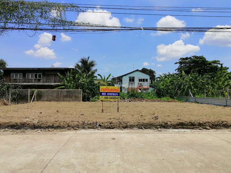 H1066 ขายด่วน ที่ดินถมแล้ว 90 ตร.วา อยู่ซอยงามวงศ์วาน31 แยก16 ใกล้พันธ์ทิพย์ งามวงศ์วาน ที่สวย กว้าง 22 เมตร ลึก 15 เมตร เข้าออกถนนประชาชื่นได้
