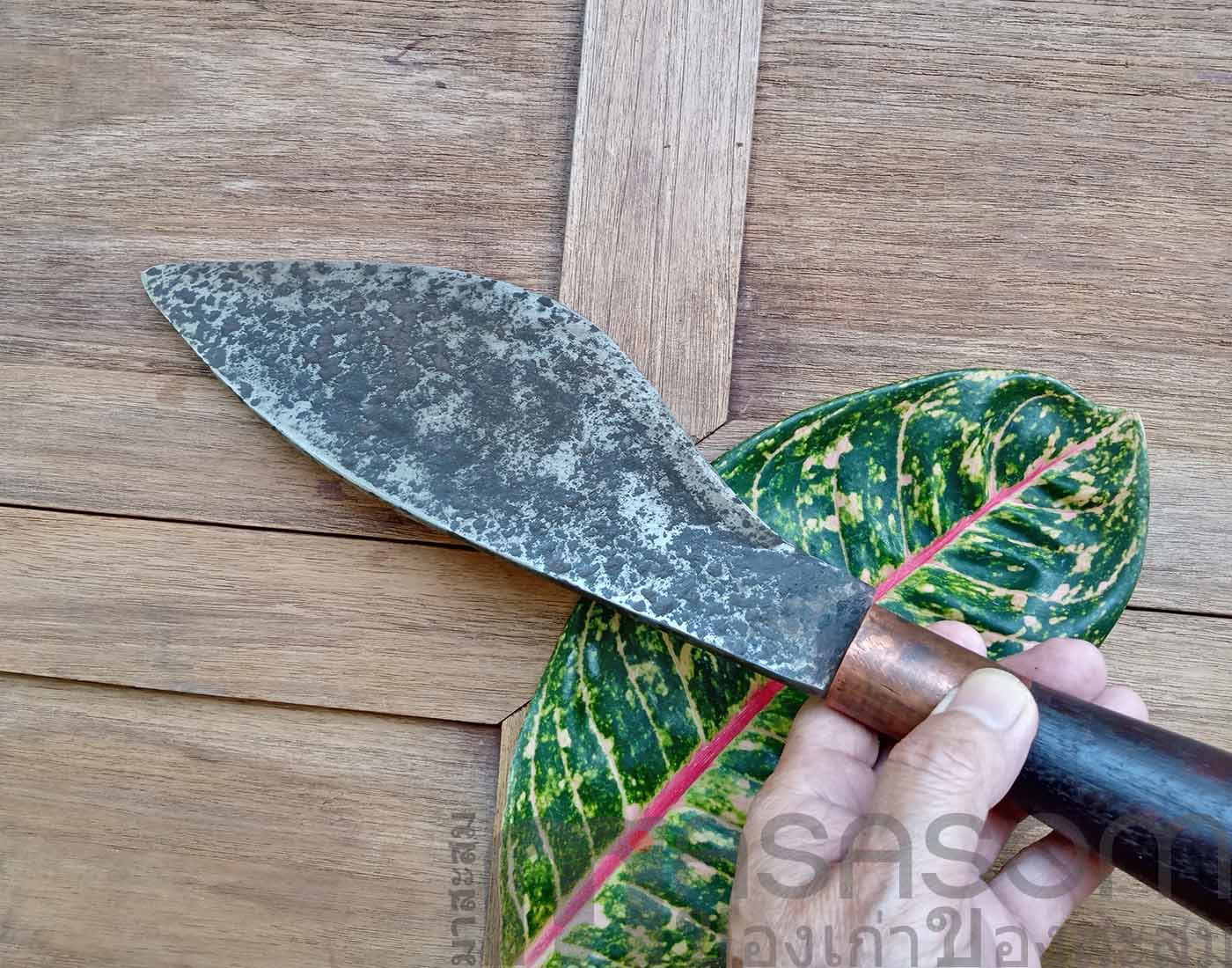 มีดเหน็บแบบมีดหมอ