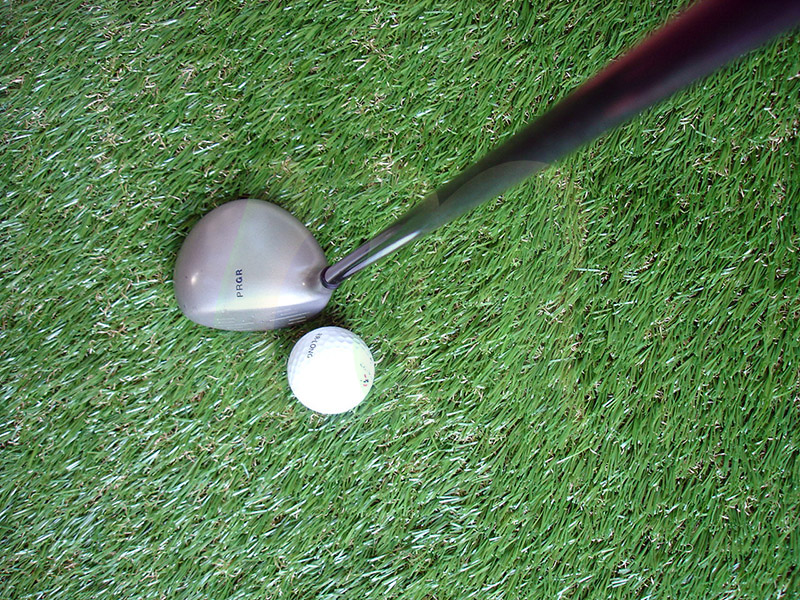 หัวไม้ 4 PRGR Data