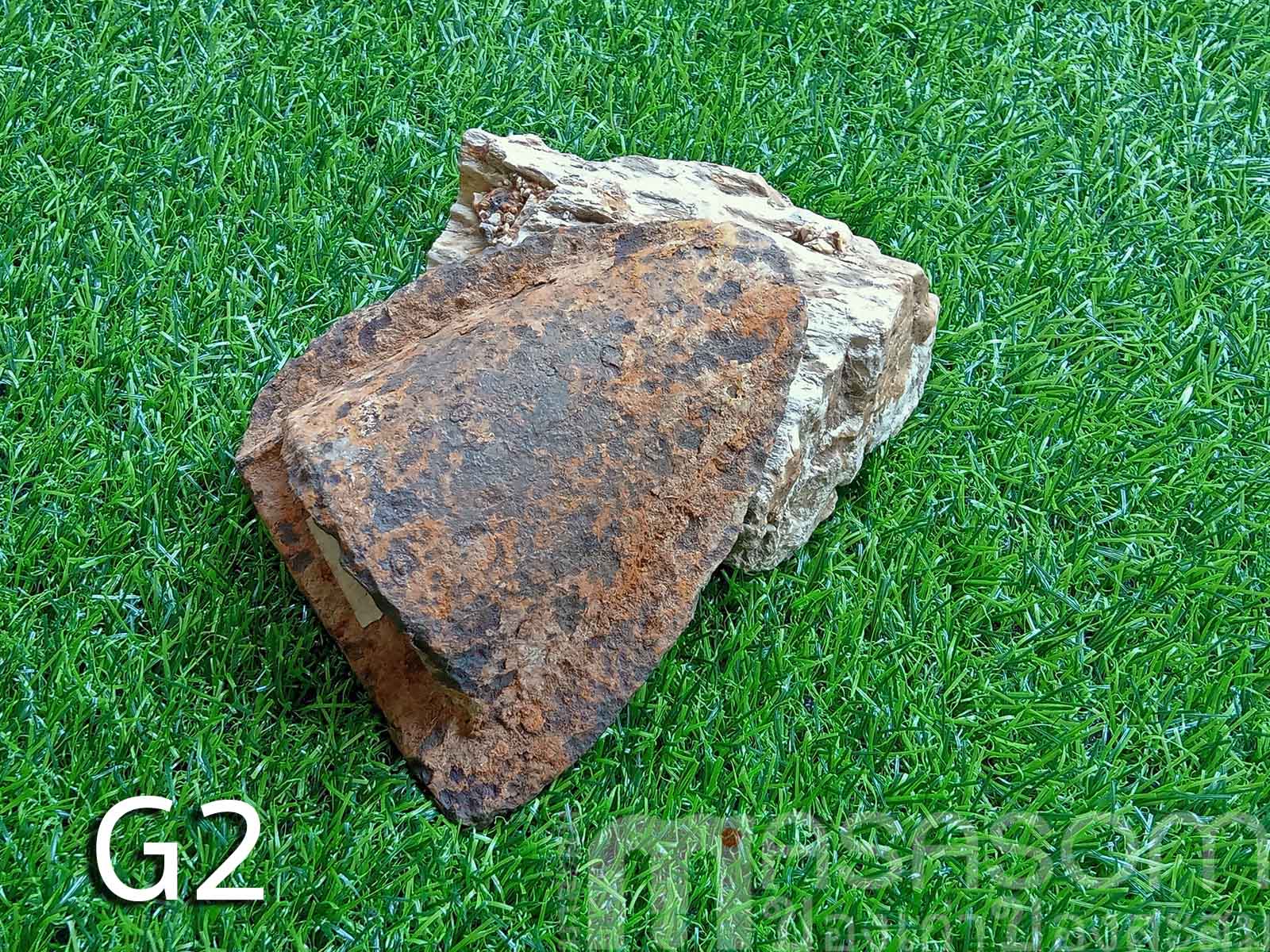 ผานไถนาโบราณG2