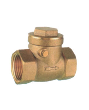 Check Valve