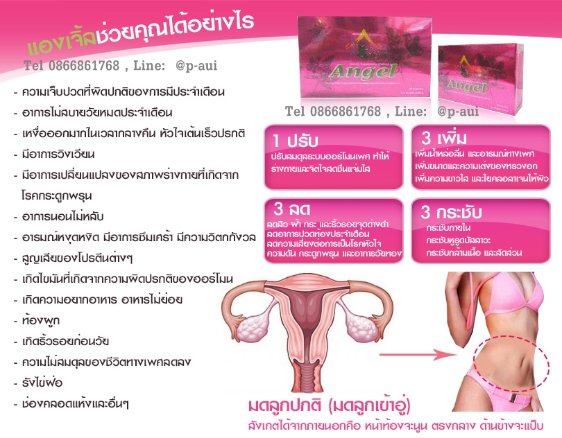 สรรพคุณ แองเจิ้น