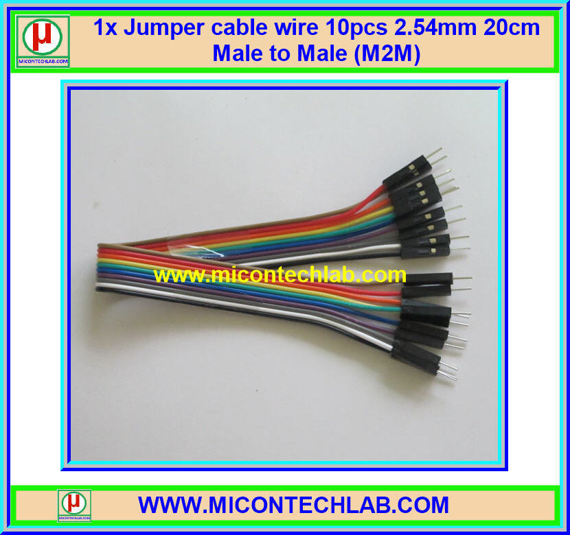 1x จั๊มเปอร์ปลายผู้ผู้ (M2M) 10 เส้น 20 ซม. (Jumper)