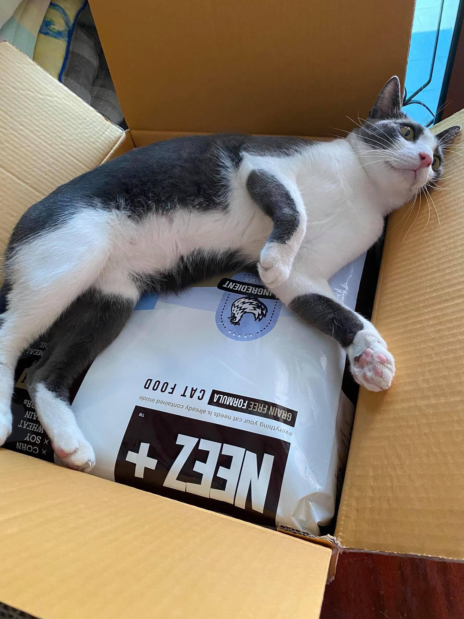 NEEZ+อาหารแมว นีซพลัส เกรนฟรี พรีเมี่ยมสำหรับน้องแมว 🐥สูตรแมวใหญ่ 10 กิโล 1950.- เหมาะกับแมวโต อายุ 4 เดือน-12 ปี (ฟรีส่ง)