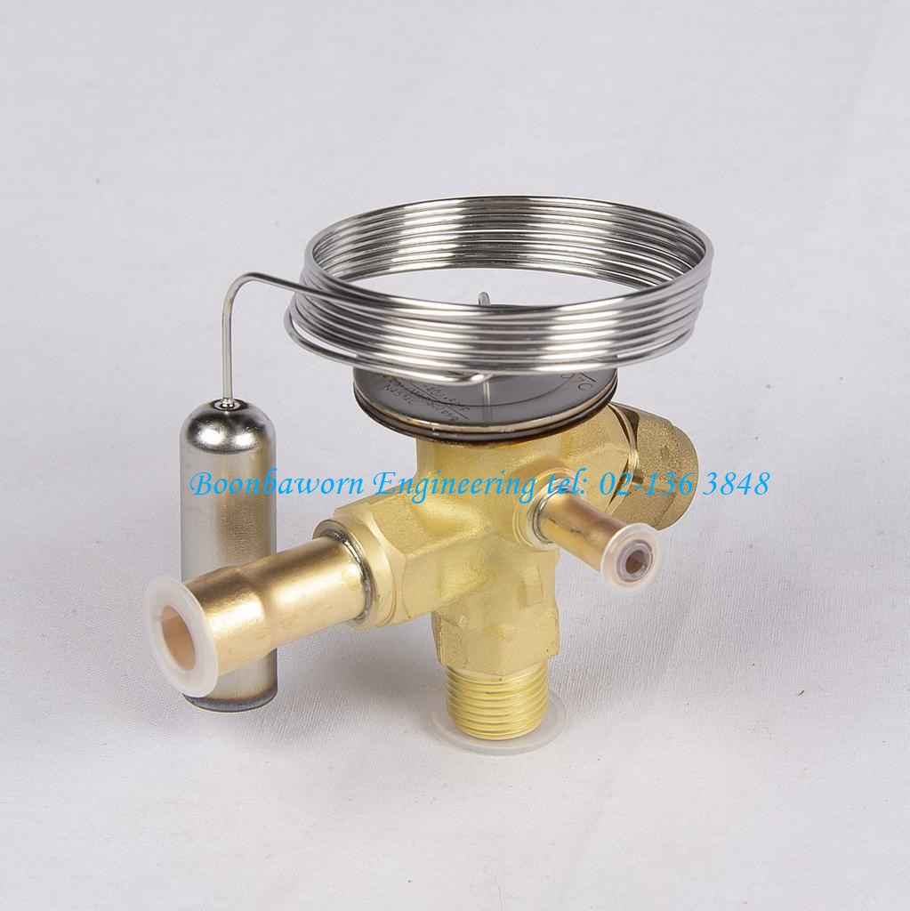Thermostatic Expension Valve