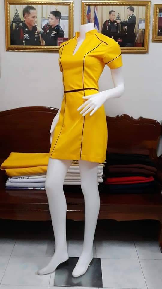 ชุดแอร์โฮสเตรส / ชุดอาชีพในฝัน