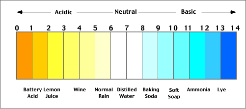 เครื่องวัดความเป็นกรดด่าง PH Meter