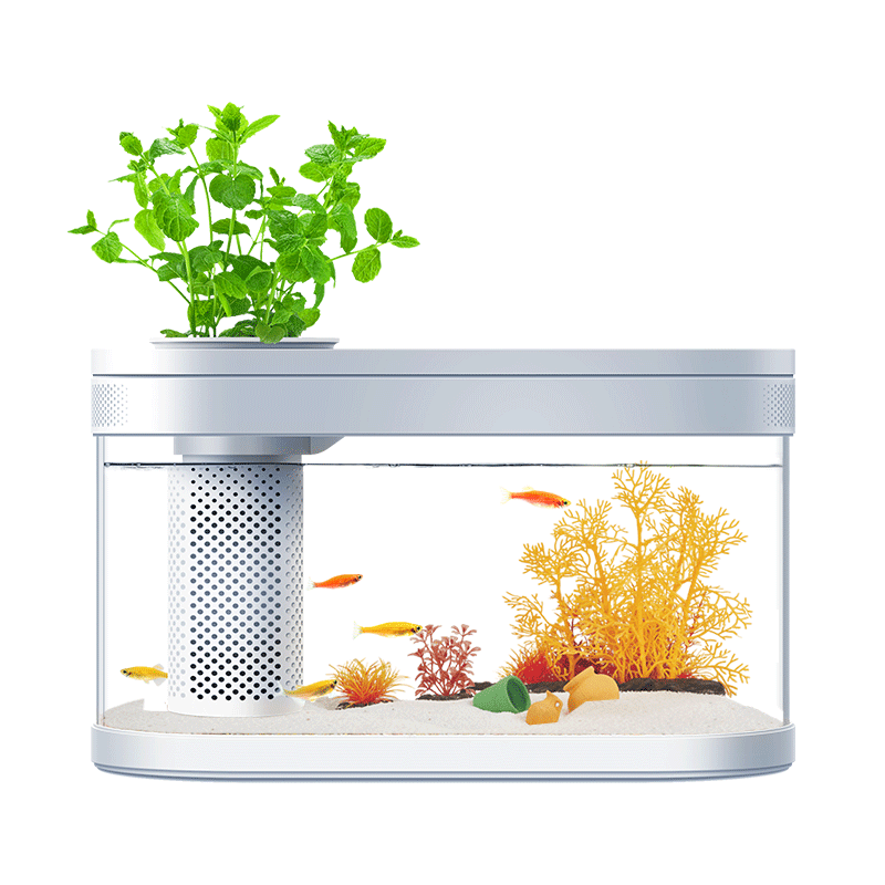 Huafajihe Amphibious Ecological Lazy Pro