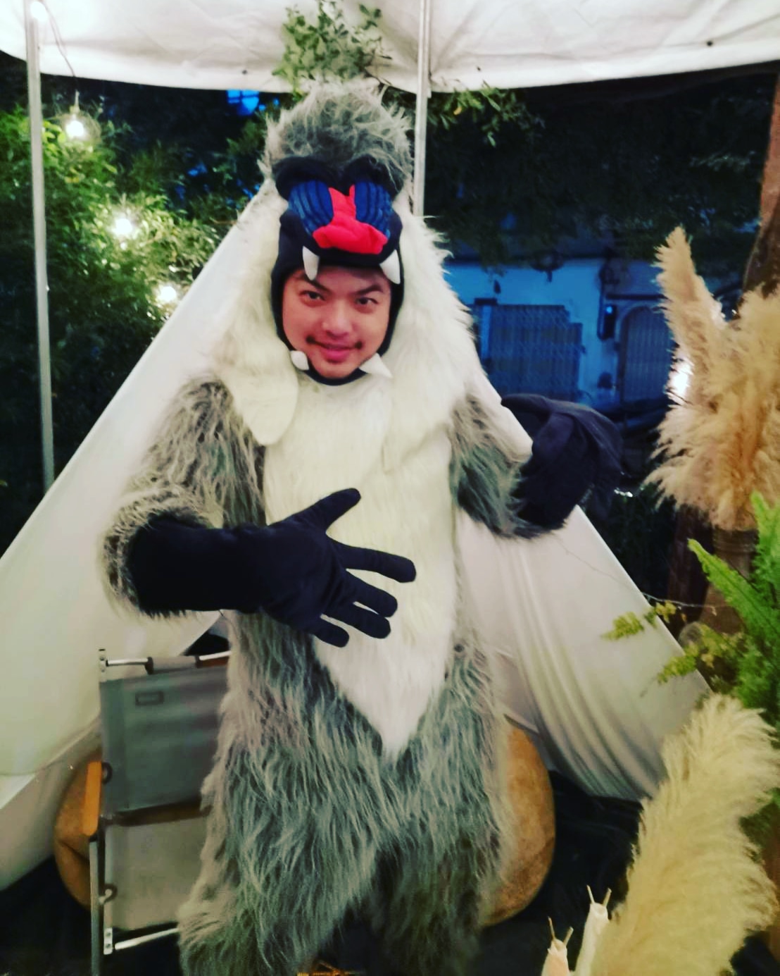 ชุดลิงบาบู